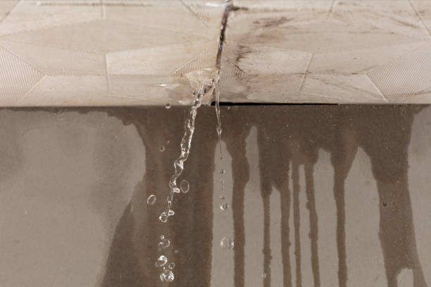 Professional Structural Drying technician working in Woodbine, NJ